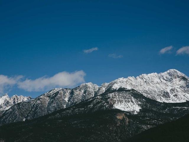 Monte Schamberger